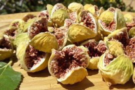 dried-figs